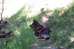 IMG_0048