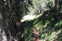IMG_0051