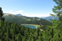 IMG_0056