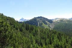 IMG_0063