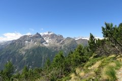 IMG_0071