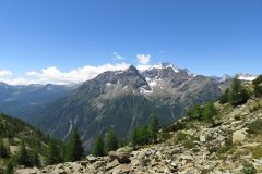 IMG_0099