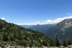 IMG_0101