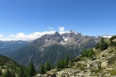 IMG_0103
