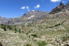 IMG_0106
