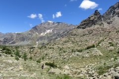 IMG_0107