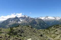 IMG_0110