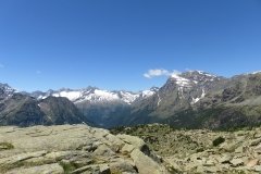 IMG_0127