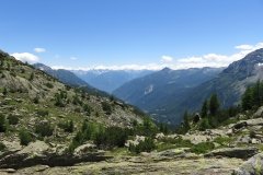 IMG_0181