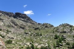 IMG_0182