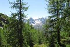 IMG_0187