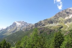 IMG_0191