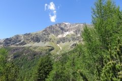 IMG_0192