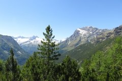 IMG_0194