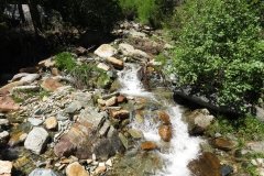 IMG_0196