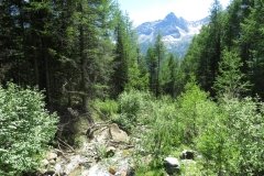 IMG_0201