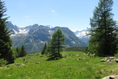 IMG_0203