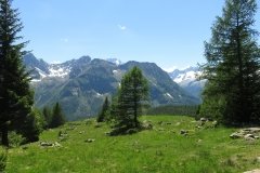 IMG_0205