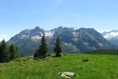IMG_0207