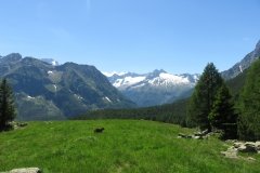 IMG_0209