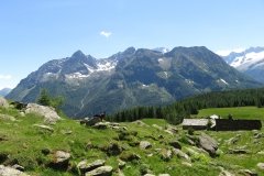 IMG_0218