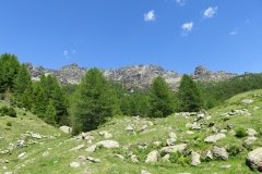 IMG_0223