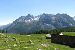 IMG_0226