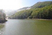 IMG_0005