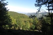 IMG_0015