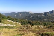 IMG_0016