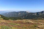 IMG_0037
