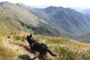 IMG_0118