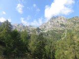 IMG_0006