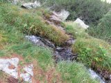 IMG_0012