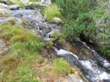 IMG_0015