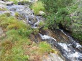 IMG_0016