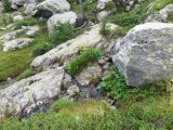 IMG_0018
