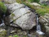 IMG_0022