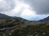 IMG_0070