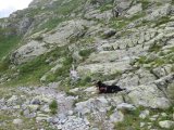IMG_0098