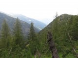 IMG_0152