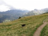 IMG_0159