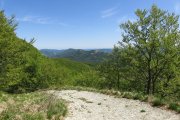 IMG_0001