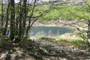 IMG_0006