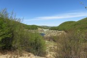 IMG_0017