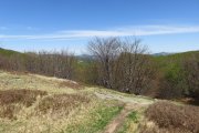 IMG_0026