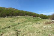 IMG_0028