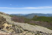 IMG_0035