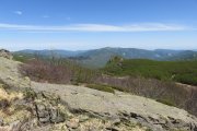 IMG_0037