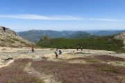 IMG_0041